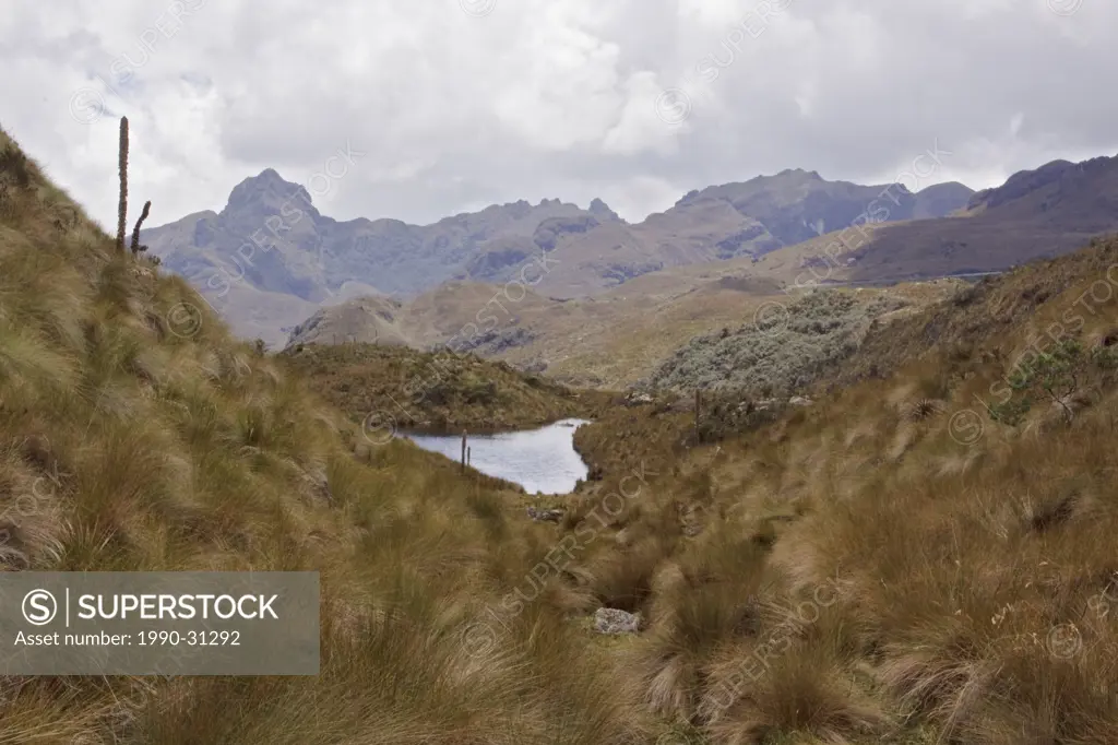 A scenic view of Cajas National Park near Cuenca, Ecuador.