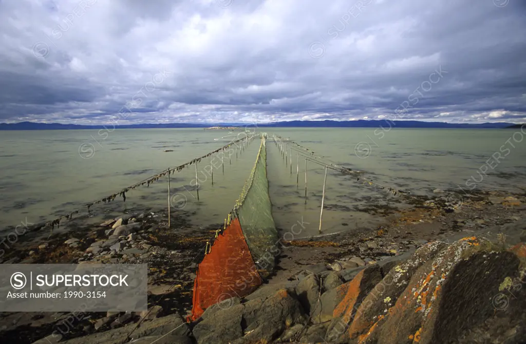 Weir nets, Kamouraska, Quebec, Canada