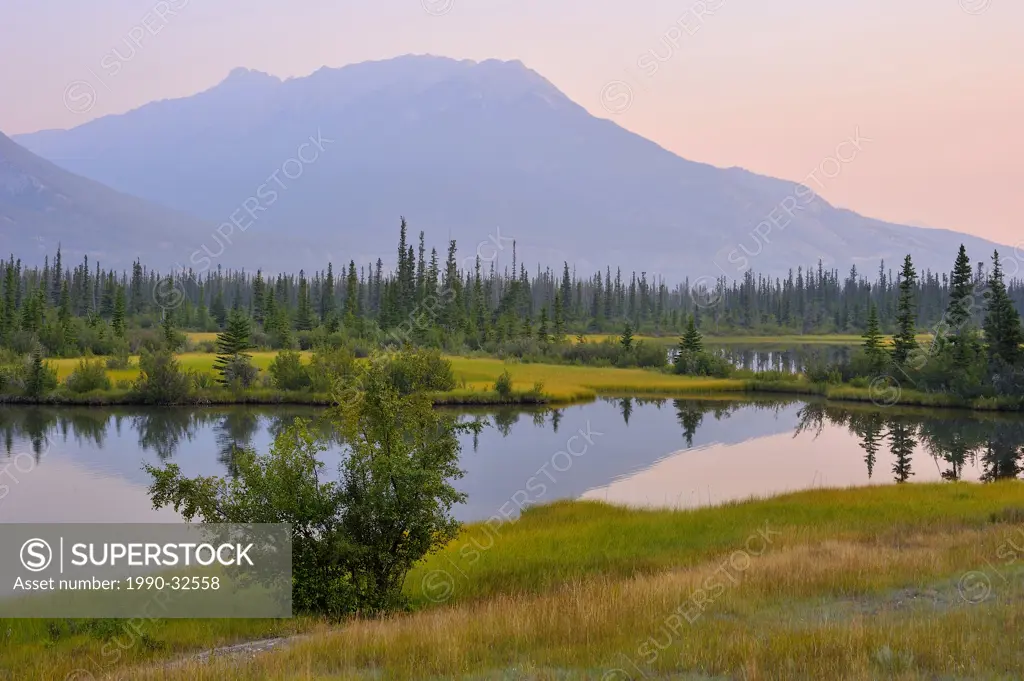 This pretty morning landscape image was made along the Athabasca River in Jasper National Park
