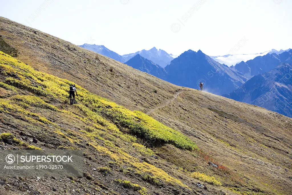 Chilco region mountain biking , British Columbia, Canada