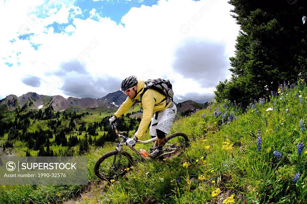 Chilco mountain biking Lick Creek, British Columbia, Canada