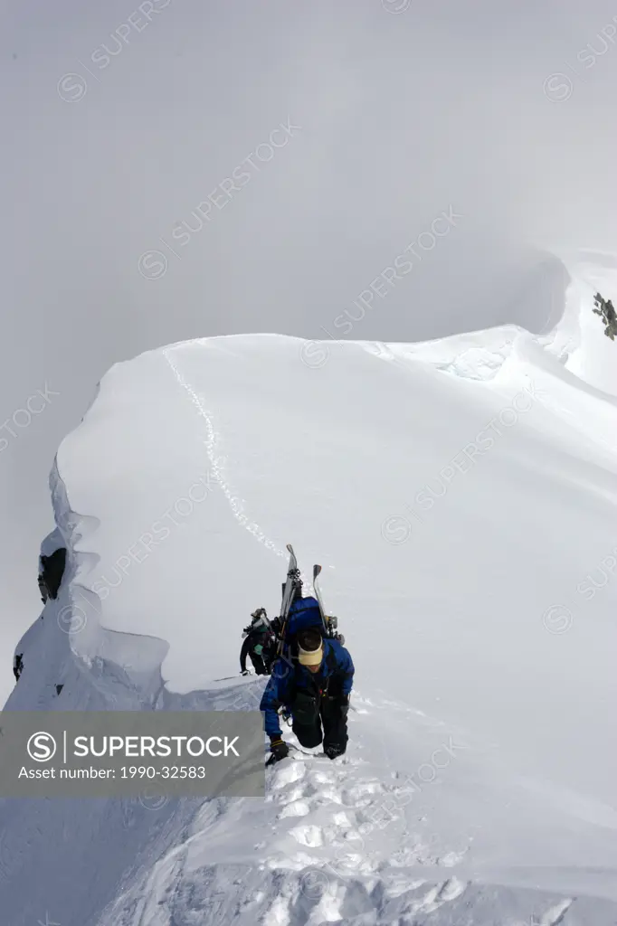 Owls Weart ski touring climbing Wedge Mountain, Whistler, BC, Canada