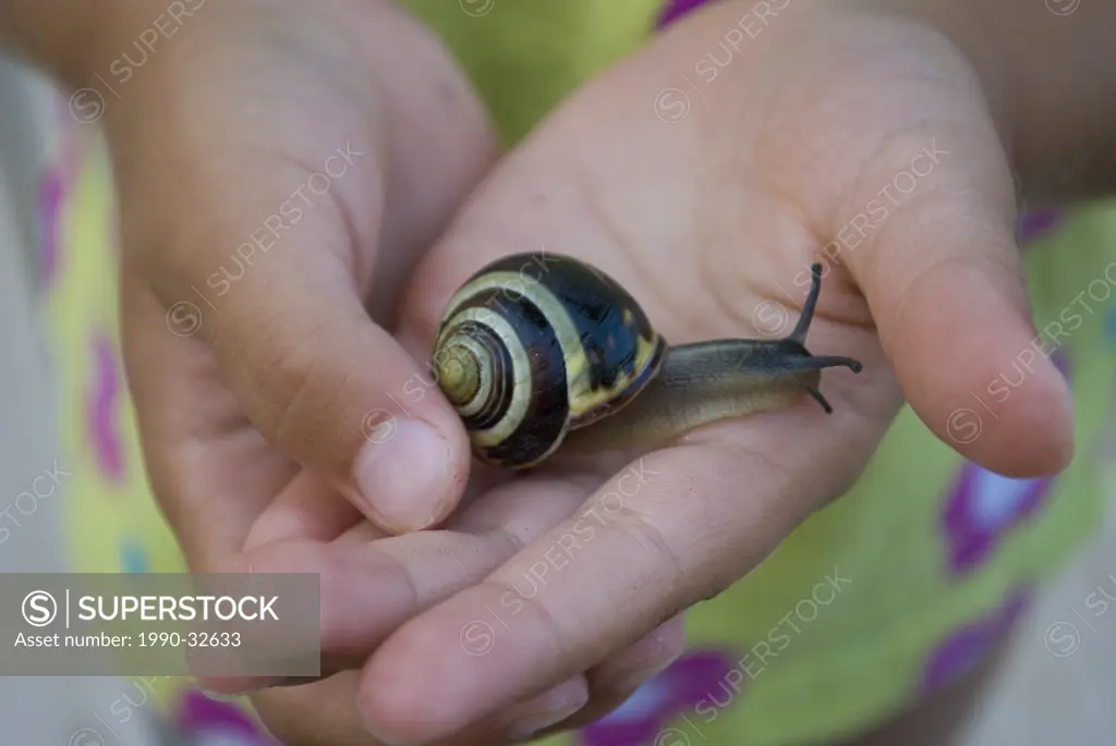 A snail in the hands of a young girl near Powell River on the beautiful Sunshine Coast of British Columbia, Canada.