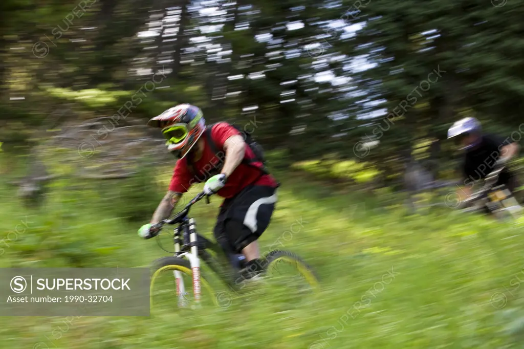 Mountain bikers riding the downhill trails of Moose Mountain, Kananaskis, AB