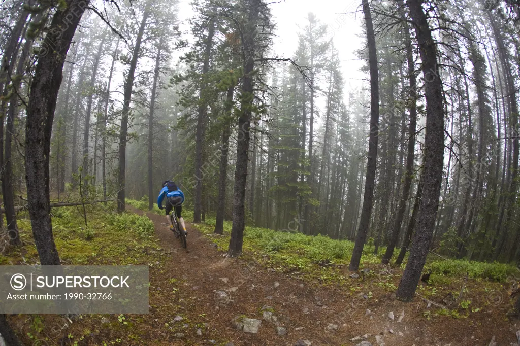 A mountain biker riding single track track of Jumping Pond Ridge in Kananaskis country, AB