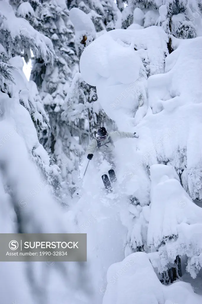 Whistler Backcountry, skier jumping through powder in trees