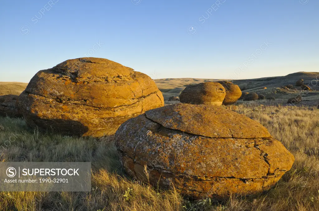Large sandstone concretions, Red Rock Coulee Natural Area, Alberta, Canada