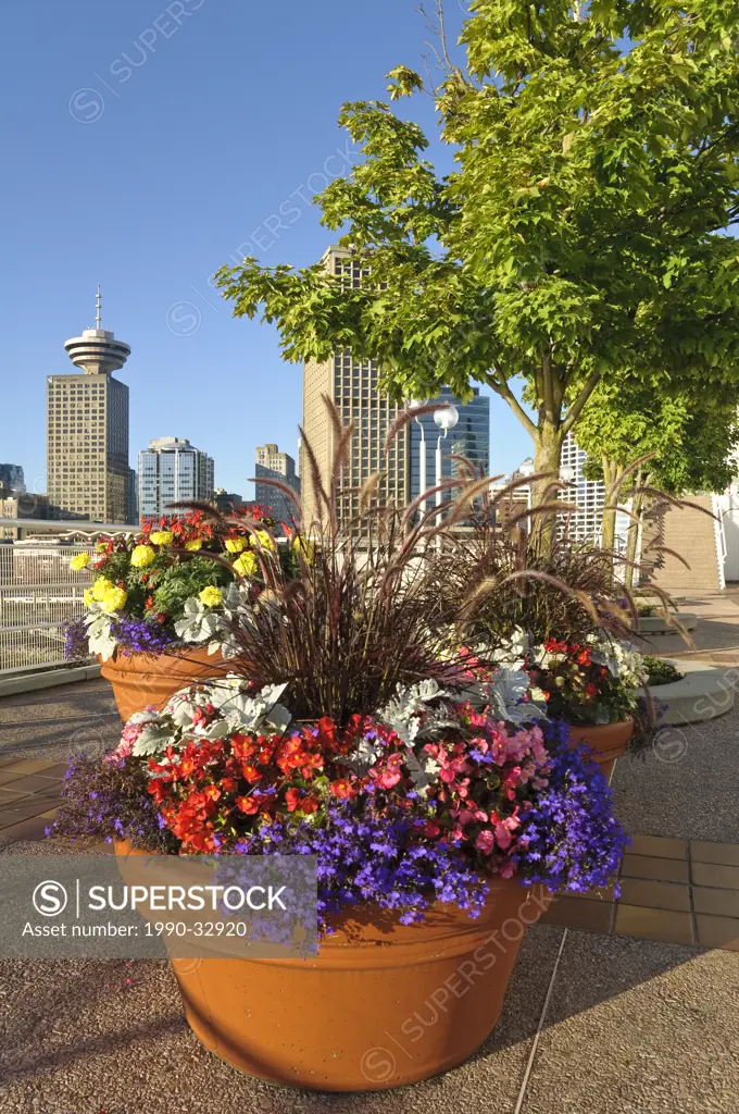 Colouful planters, Canada Place, Vancouver