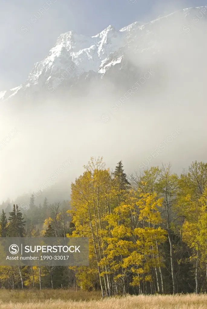 Foggy, snow_covered peaks of the Niut Range, Coast Mountains, rise above aspen trees and fields, Tatlayoko Valley, Chilcotin region, British Columbia,...