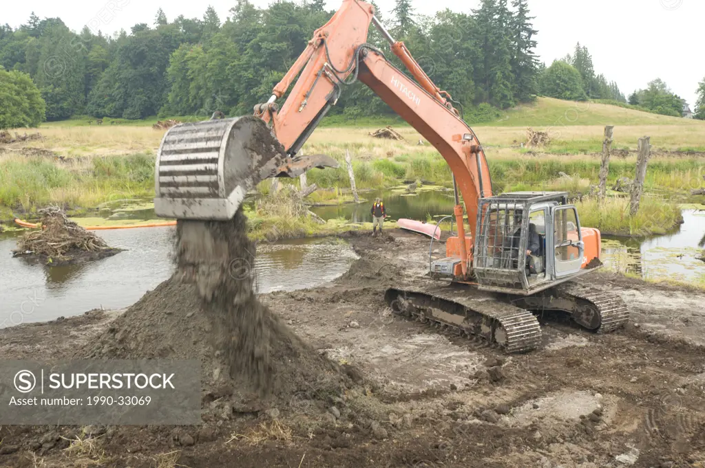 Habitat restoration project in Chilliwack, to return a drained farmland back into proper amphibian habitat, British Columbia
