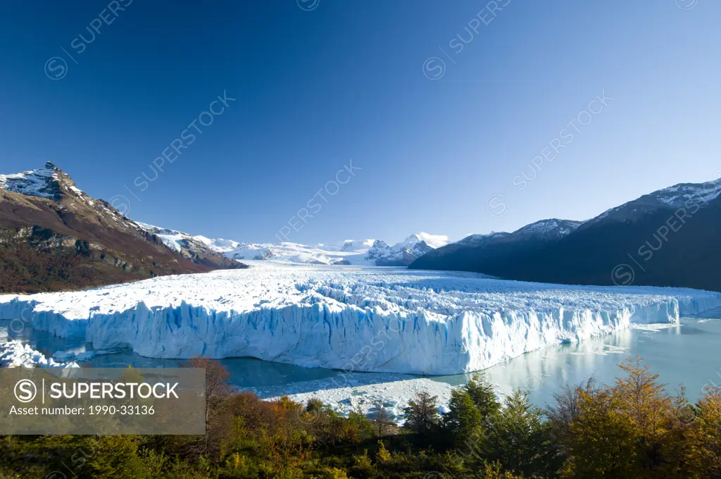 The Perito Moreno Glacier in autumn, calves into the waters of Lago Argentina, Parque Nacional Los Glacieres, Argentina
