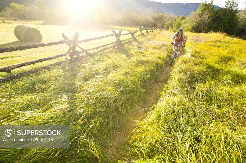 A mountain biker rides in a grassy hay field in the Northern Chilcotin region, British Columbia, Canada