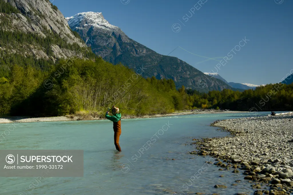 A fly fisherman makes a cast for salmon with his spay rod on the Bella Coola River, British Columbia, Canada