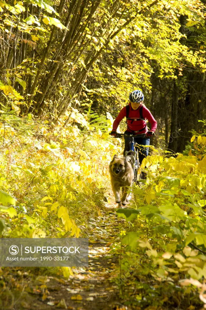 A young woman mountain biker and her dog ride along the Deer Creek trail on the shores of Christina Lake, British Columbia, Canada