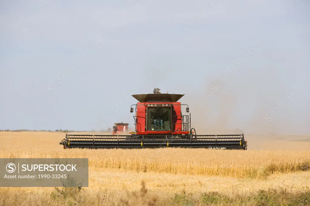 Combining Grain. A farmer might use his own combine or contract a custom combining operator to do his crop for him. These combines are straight cuttin...