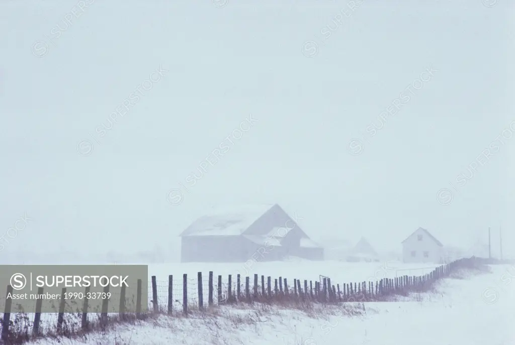 Rural scene in winter snow storm, St. Honore, Beauce, Quebec, Canada
