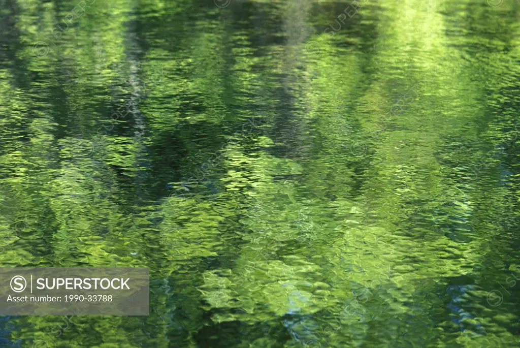 Reflections of Forest in the Clyde River, Lanark, Ontario, Canada