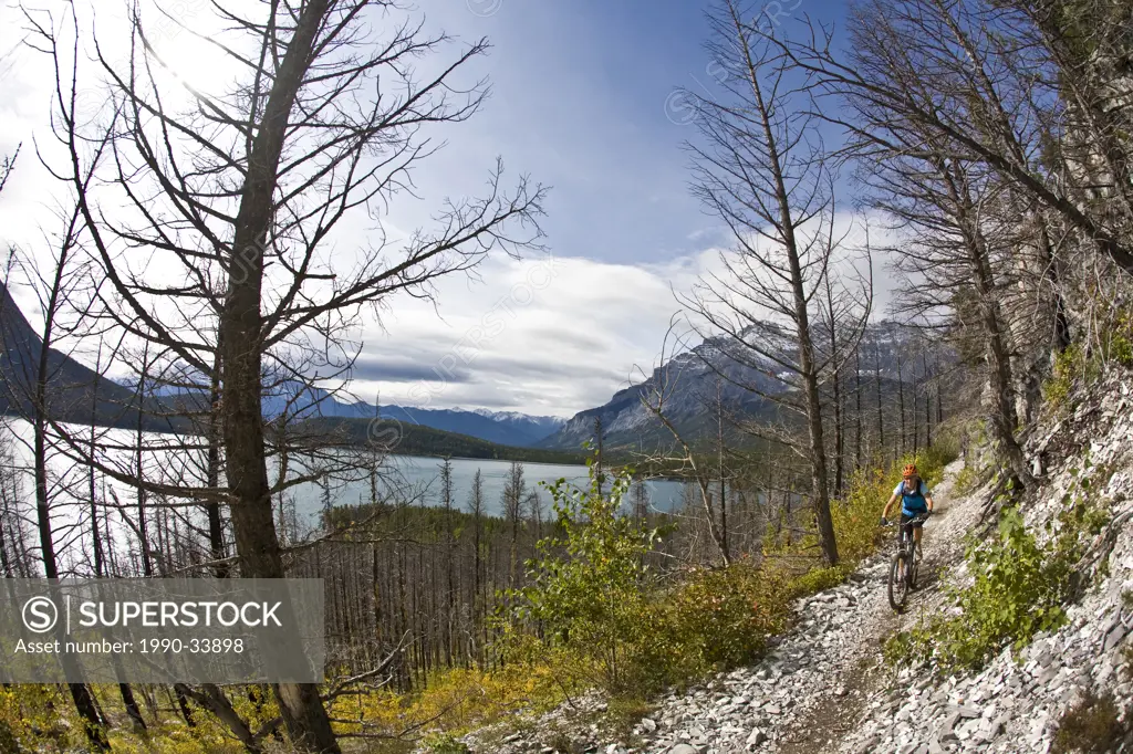 A female mountain biker rides the classic singletrack of Lake Minnewanka, Banff National Park, AB