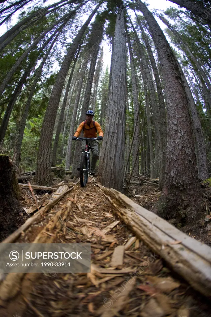 A middle ages mountain biker riding the singletrack trails around Golden, BC