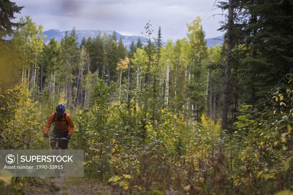 A middle ages mountain biker riding the singletrack trails around Golden, BC