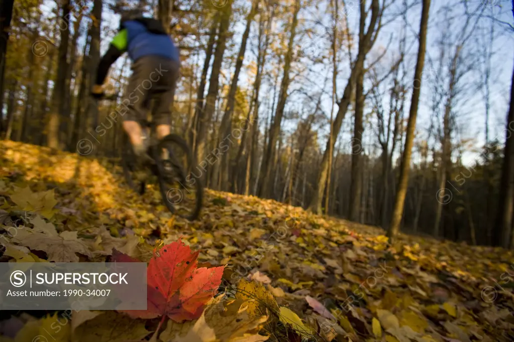 A man mountain biking in forest of Coaticook, Quebec