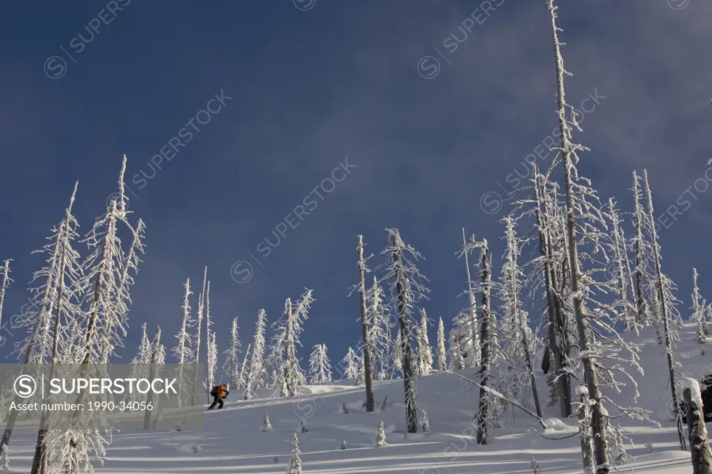 A man splitboarding in the Revelstoke Backcountry, BC