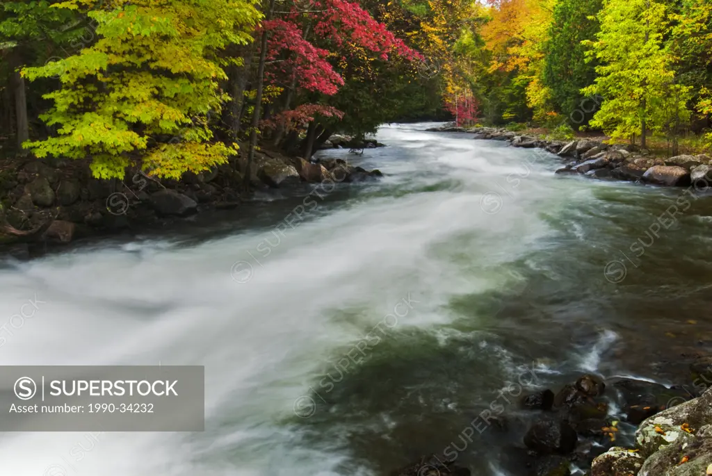 Autumn colour along the Gull River at the Minden Wild Water Preserve in Ontario´s Haliburton Highlands