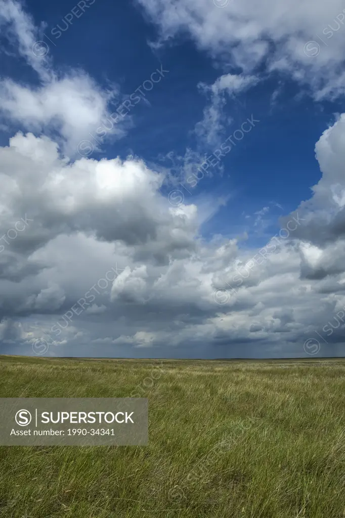 Southern Manitoba field under dramatic clouds. Prairie farmland, Canada
