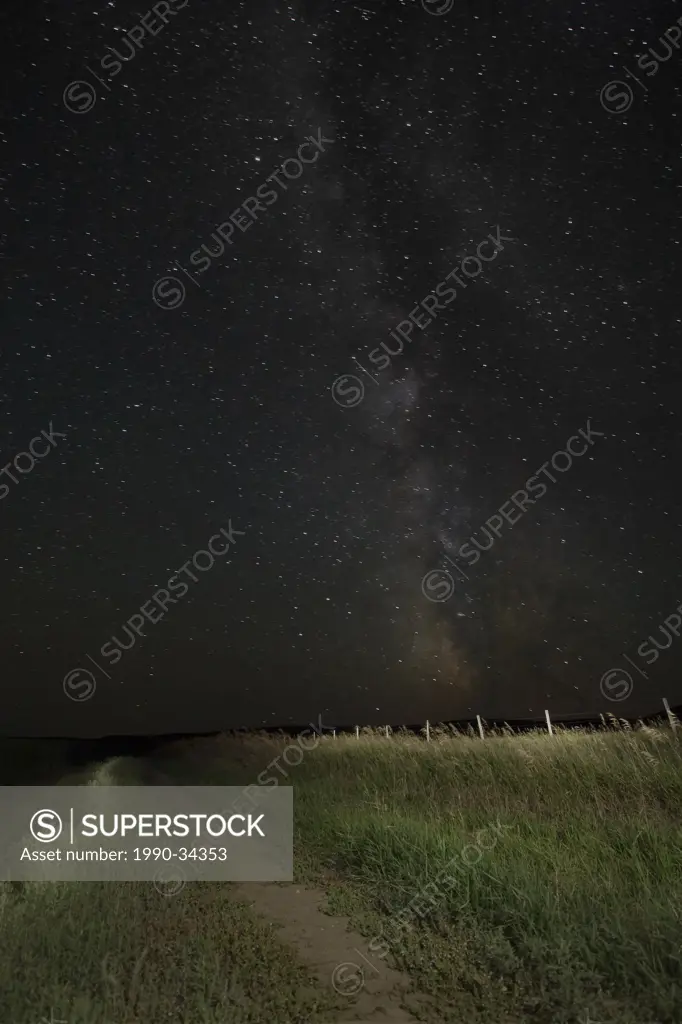 Saskatchewan dirt road under a star filled night sky.