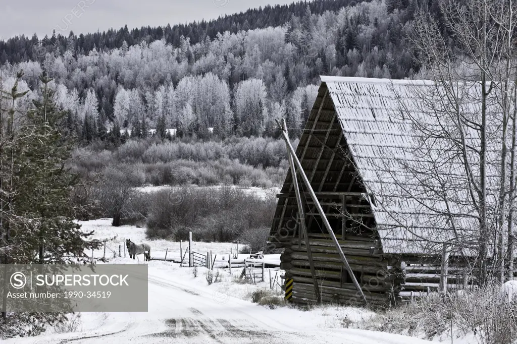 winter scenic of old barn and horse in the Cariboo region of British Columbia Canada