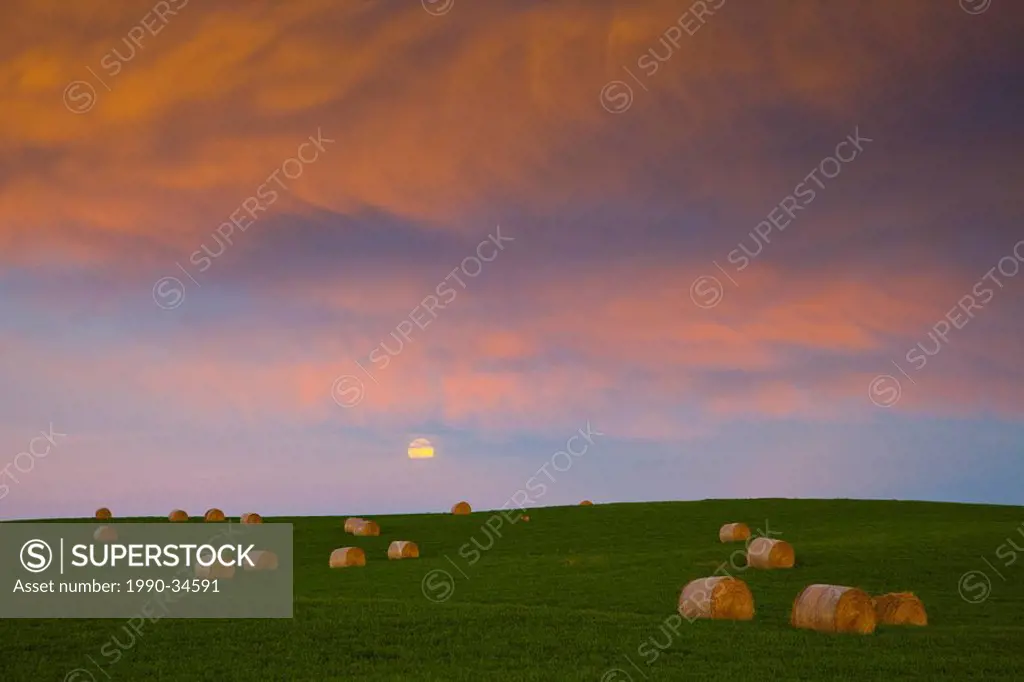 Hay bales in a field near Pincher Creek, Alberta, Canada at sunset