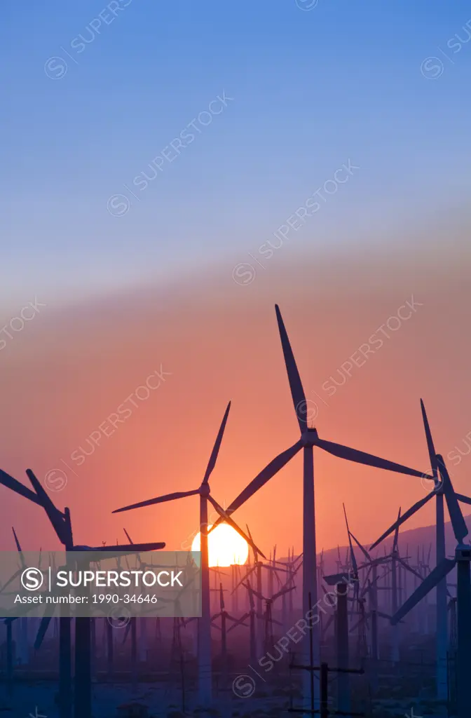 Wind turbines near Palm Springs.