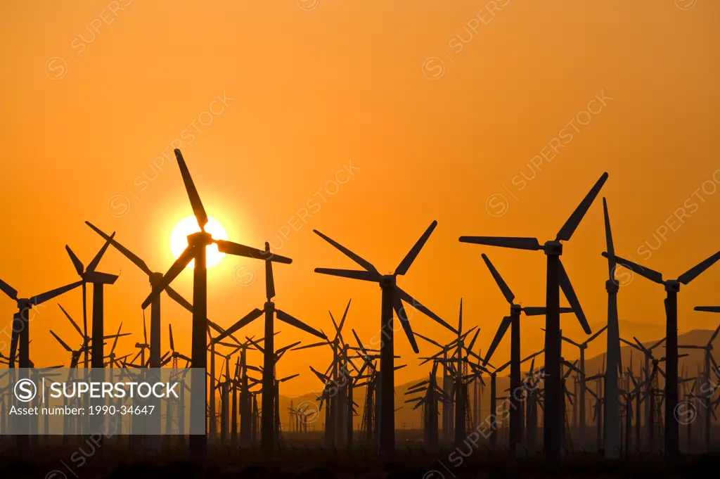 Wind turbines at sunset, near Palm Springs, California.