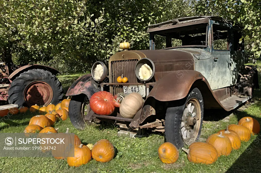 Fall harvest display, Keremeos, Okanagan Region, British Columbia, Canada
