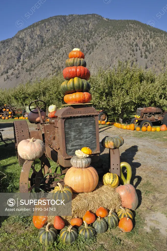 Fall harvest display, Keremeos, Okanagan Region, British Columbia, Canada