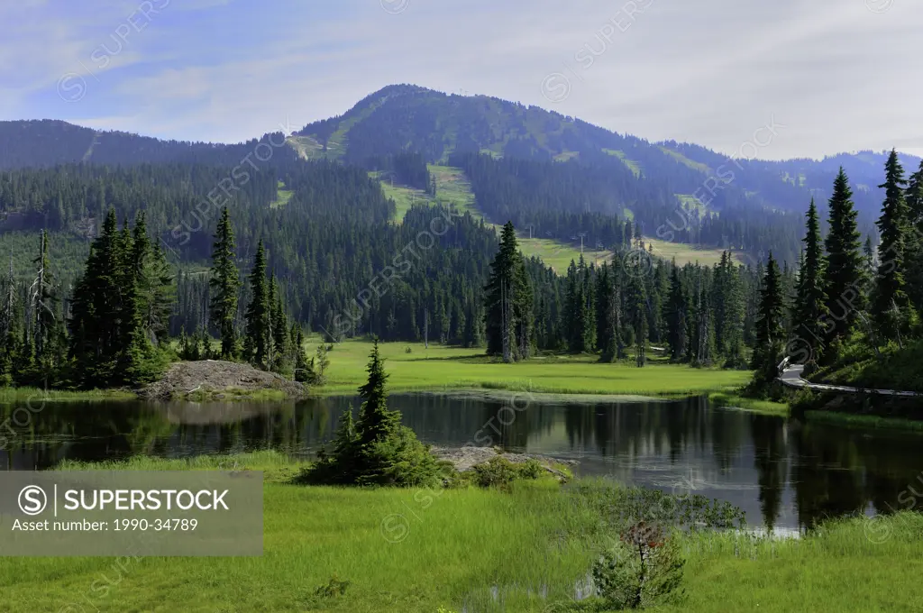 Alpine pond near Mt. Washington in Paradise Meadows in Strathcona Provincial Park, British Columbia, Canada