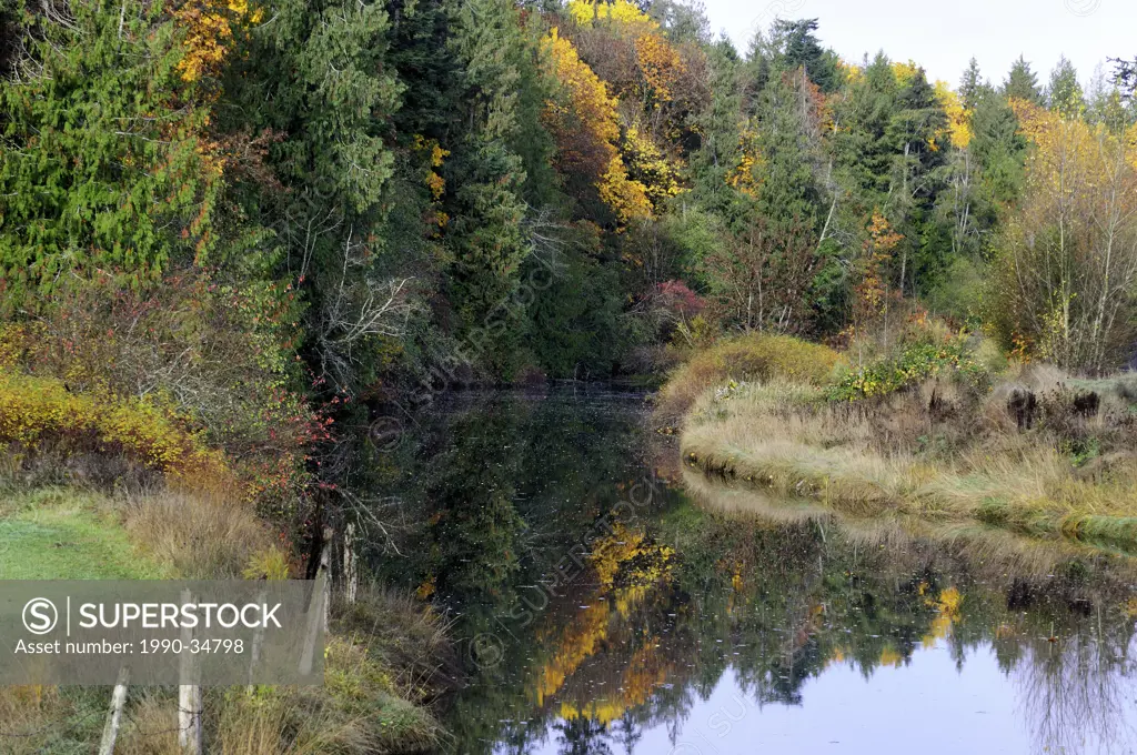 Fall colours and the Koksilah River in Cowichan Bay, British Columbia, Canada