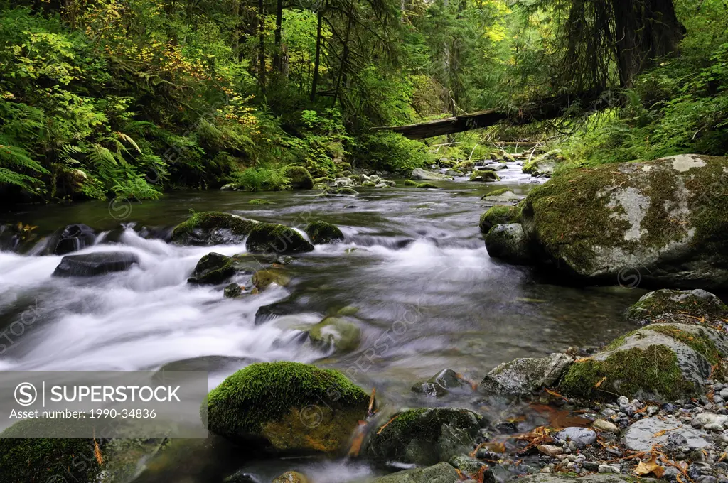 Goldstream River in Goldstream Provincial Park near Victoria, British Columbia, Canada