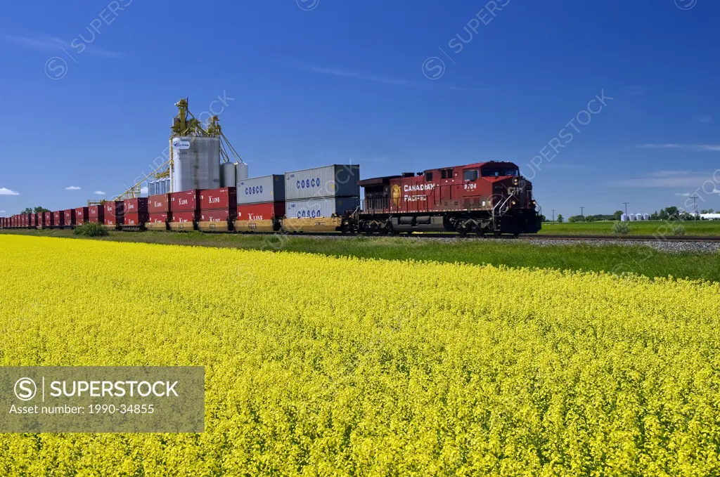 rail cars carrying containers pass a canola field and inland grain terminal near Portage la Prairie, Manitoba, Canada