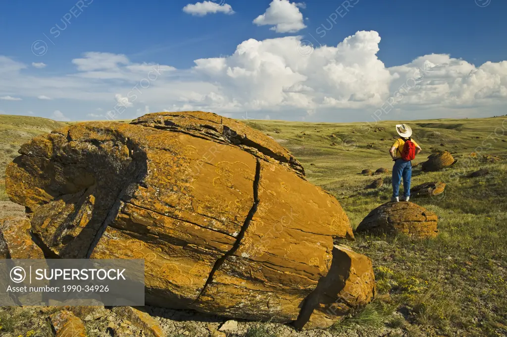 a hiker looks out over sandstone concretions in Red Rock Coulee Natural Area, Alberta, Canada