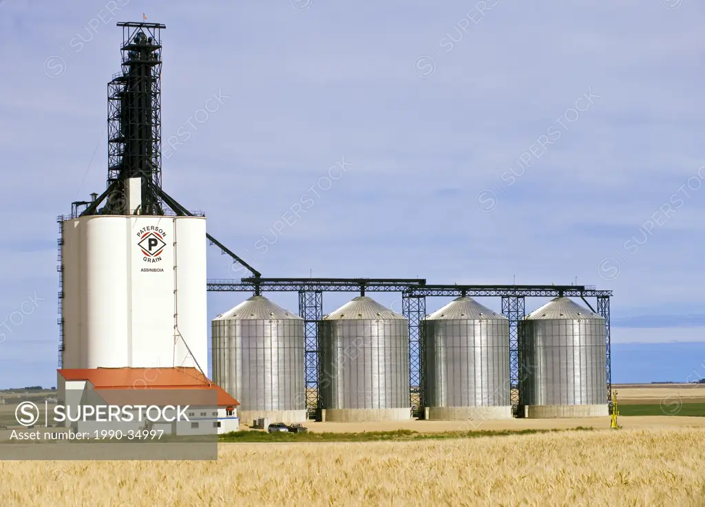 durum wheat, inland grain terminal, Assiniboia, Saskatchewan , Canada