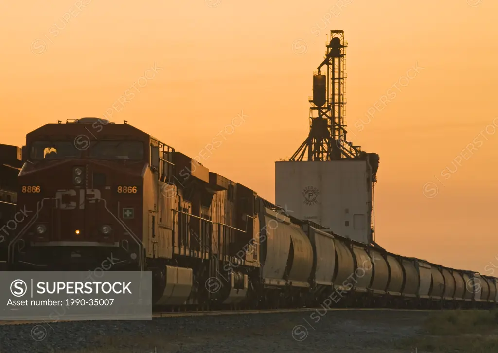train carrying grain rail hopper cars, inland grain terminal, Dunmore, Alberta , Canada