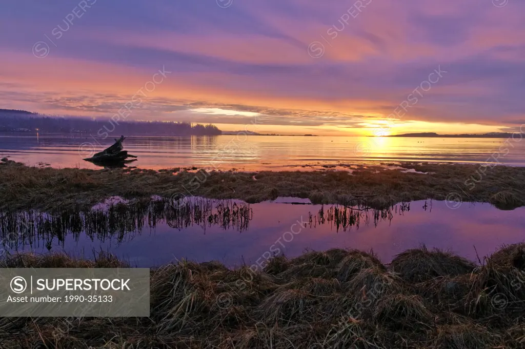 Sunrise, the Courtenay estuary, Courtenay, British Columbia, Canada