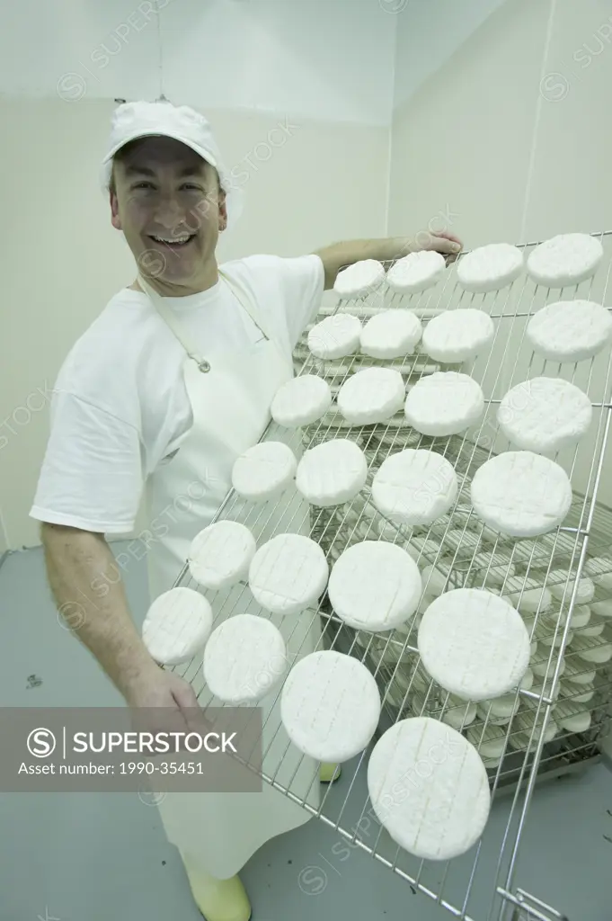 Paul Sutter, master cheese maker displays fresh cheese ready for packaging at the Natural Pastures cheese plant in Courtenay. The Comox Valley, Vancou...