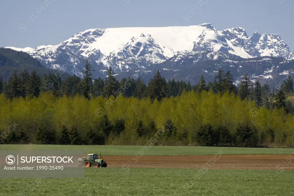 A tractor spreads fertilizer before planting corn under the watchful eye of the Comox glacier. Courtenay, The Comox Valley, Vancouver Island, British ...