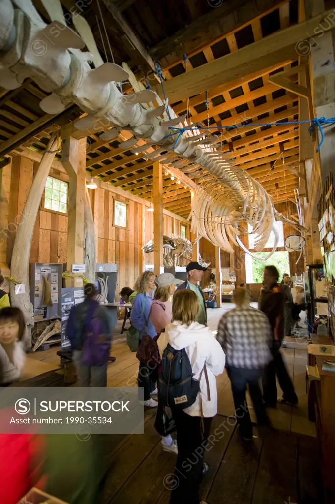 The Whale museum at Telegraph Cove, Northern Vancouver Island, British Columbia, Canada.