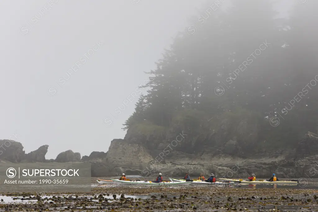 Kayakers in the Kyuquot Sound area paddle back to Spring Island from a short trip out to Lookout Island during a misty foggy morning on Vancouver Isla...