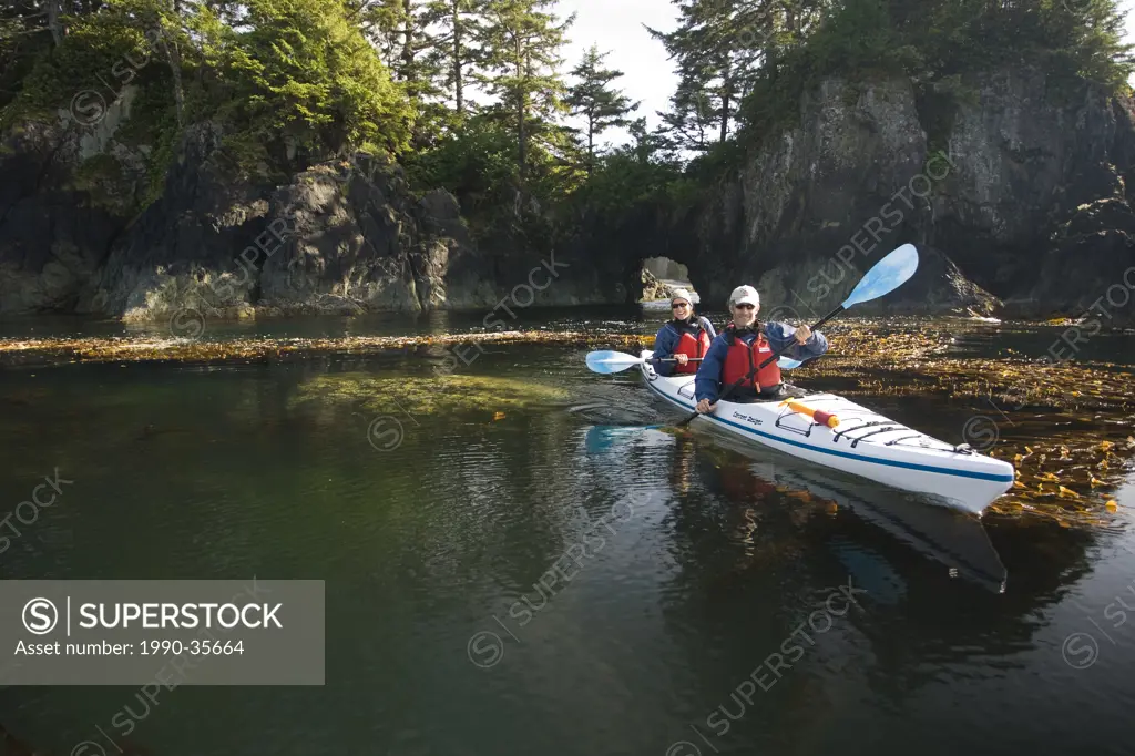 Kayakers paddling on the outside of Spring Island are treated with crystal clear waters and rich kelp beds teaming with life in the Kyuquot Sound area...
