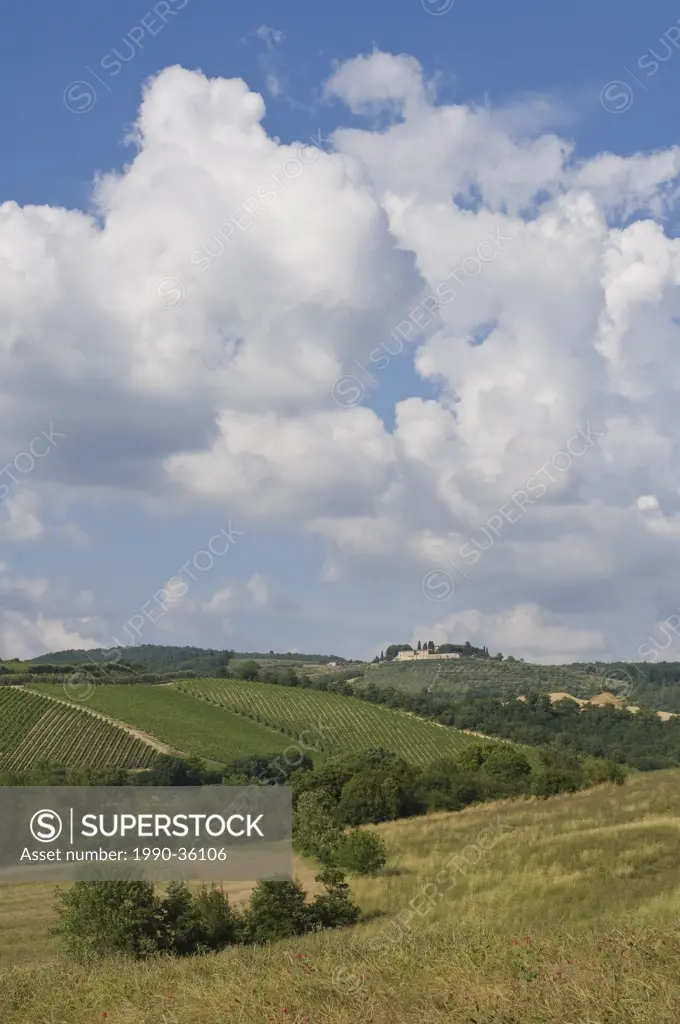 Tuscan countryside near Sienna, Italy