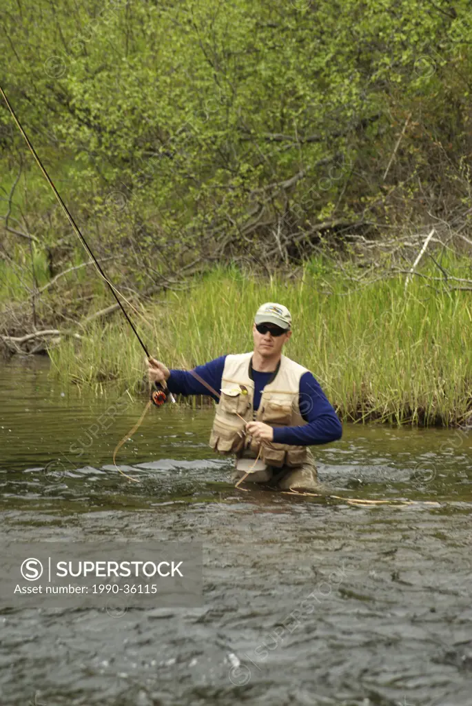 Fly fishing for spring brook trout in Algonquin park, Ontario, Canada